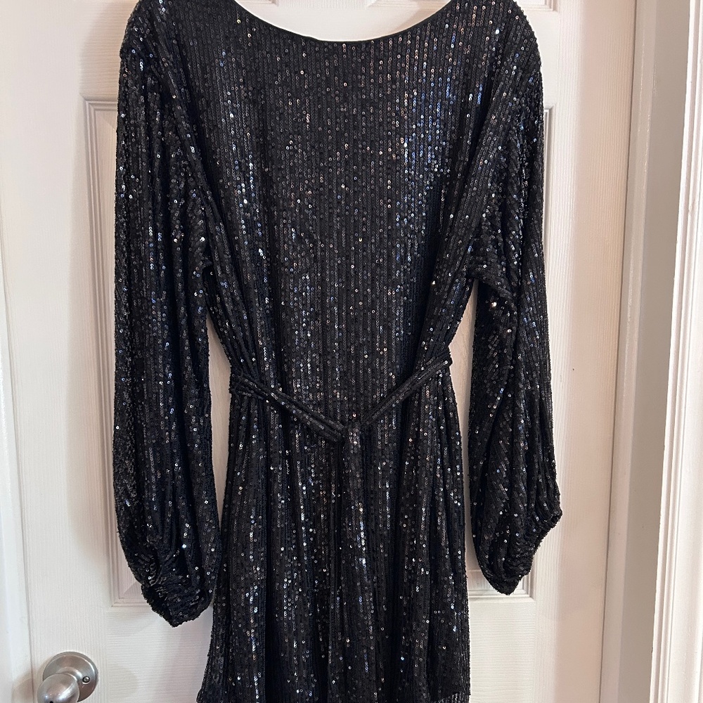 Vine & Love Sequin Mini Dress, Large